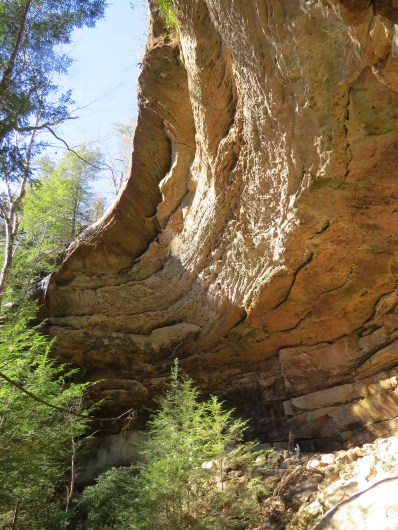 Rock Shelter in Big South Fork
