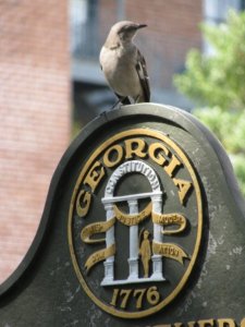 Bird Sign